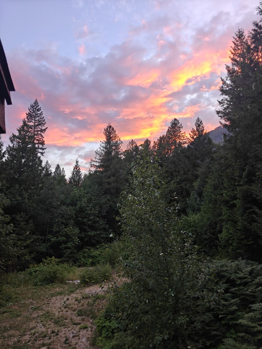 Sunset over the forest on the property